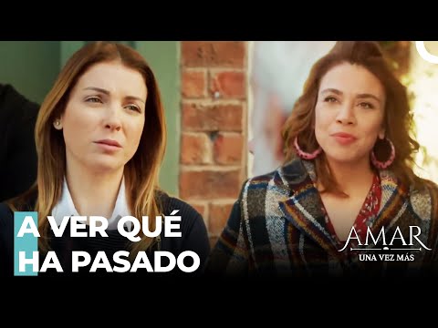 Máquina De Chismes En Los Campos - Amar Una Vez Más