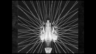 THE GRAHAM SITUATION - The Price (Kill Me)