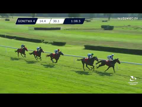 Nagroda SK Krasne - L (kat.A) 28.08.2022 - (Dzień 28; Gonitwa 4)