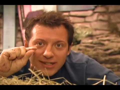 Zoboomafoo: Who's In The Egg?