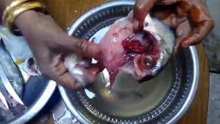 Easy way to clean Fish | Meen | in Tamil vedio