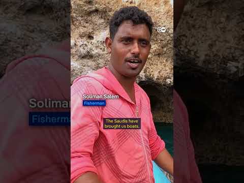 The Fight For Socotra: A Biodiversity Crisis | Dw Documentary