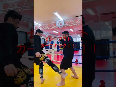 [キックボクシング　トレーニング　格闘技] イン⇨アウト　カーフキック！！　#キックボクシング #トレーニング #格闘技