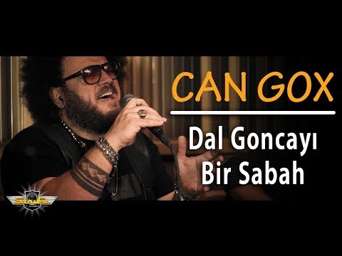 Dal Goncayı Bir Sabah - Can Gox