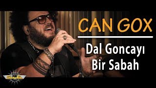 Can Gox - Dal Goncayı Bir Sabah (Akustik)