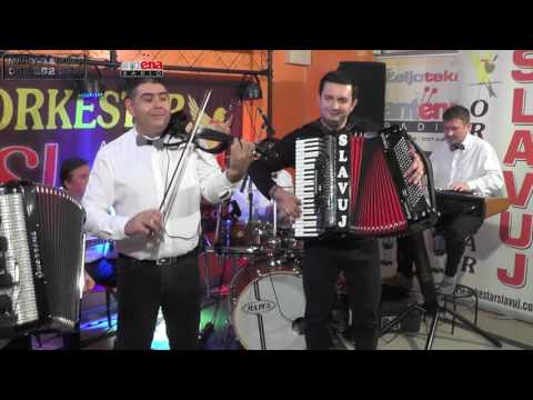 Zeljoteka, Orkestar Slavuj - Instrumetal  (Live) 2016