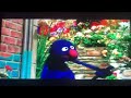 Sesame Street Grover Waters A Garden