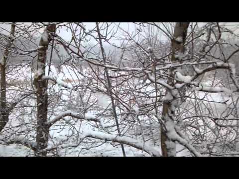 9 de diciembre de 2011 9:01 a.m.