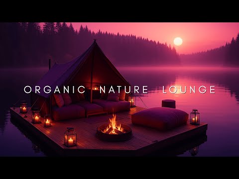 Rainforest Relax 2025 | Organic Nature Sounds & Deep House Chill Mix • 2-Hour Slow BPM