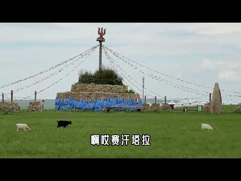 草原天籁：曹芙嘉演唱《赛汗塔拉的忧伤》深情的歌声，醉人醉心！