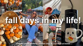 FALL DAYS IN MY LIFE! 🎃cozy october days, pumpkin patch, concert vlog, & thrifting!