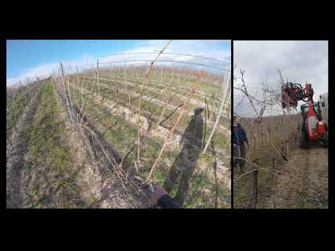 WEINBAU HELFER (Teil 1) Winter 🍇🚜🍷