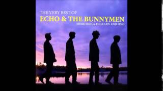 Echo & The Bunnymen -  Everything Kills You