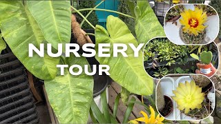 🌿Browsing the Greenhouse = Instant Happiness 🥰✨
