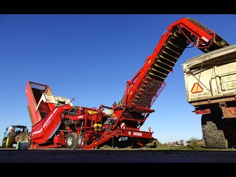 Grimme field loading station CleanLoader / Feldverladestation | Celeriac Harvest | Novifarm