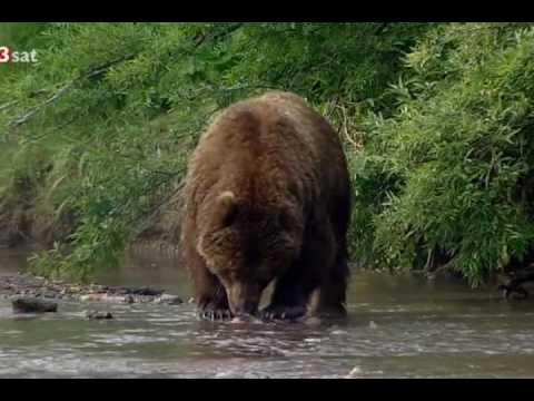 Dokumentation -  Sibirien