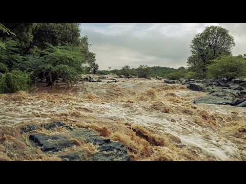 O Rio Paraíba, no trecho que atravessa a cidade de Caraúbas