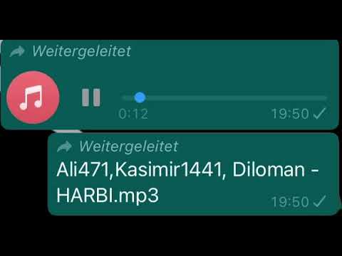 Ali471,Kasimir1441, Diloman - HARBI (Deutschrap)
