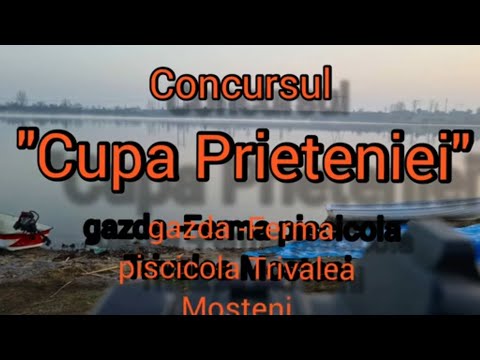 BALTA TRIVALE MOSTENI