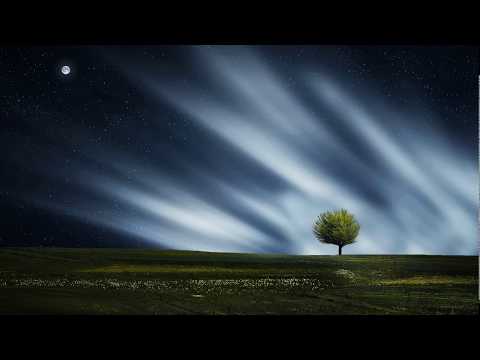 'Dedicated' Flashy ft. Nu5ive