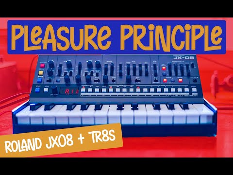ROLAND JX-08 + TR8S - JANET JACKSON - PLEASURE PRINCIPLE - SYNTH BASS