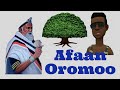 Jalo Juice Afan Oromo