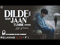 Dil De Diya Hai Jaan Tumhe Denge Relaxing Lo FI Version दिल दे दिया है 90s Hin