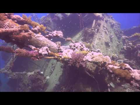 Red Sea Diving Safari