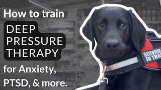 Service Dog Tasks for Anxiety Deep Pressure Therapy
