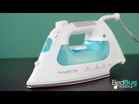 Part of a video titled How to Kill Bed Bugs With Household Items - YouTube