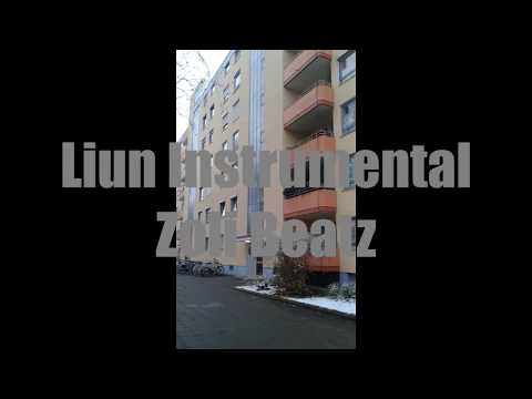36. Liun Instrumental / Zoli Beatz - Slow R&B/Hip Hop Beat / Nr. 101