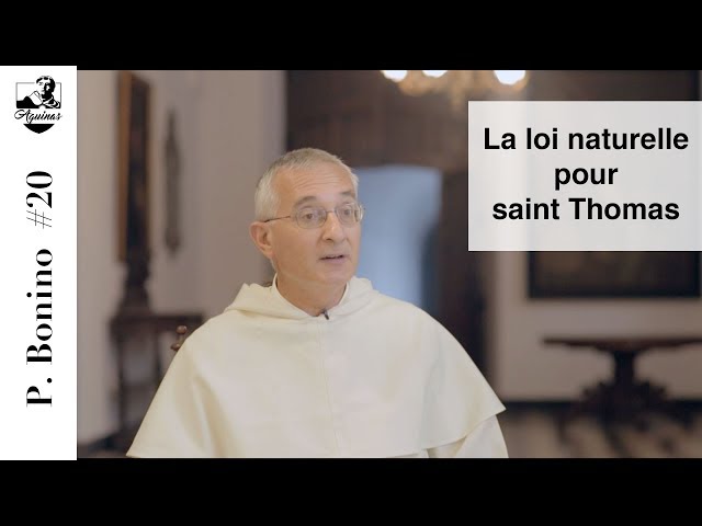 Video de pronunciación de loi en Francés