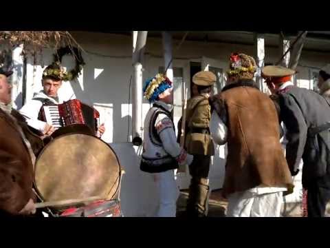 ZAICESTI DATINI DE ANUL NOU