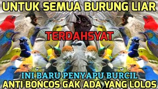 Download lagu TERDAHSYAT!! Suara pikat semua burung kecil | 100% AMPUH bikin KWALAHAN panen 2025 mp3