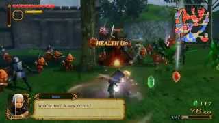 Hyrule Warriors [Wii U] UKGN First Play