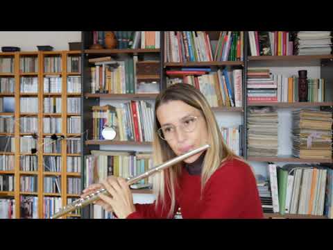 Giuseppe Gariboldi - 58 exercises, No.18