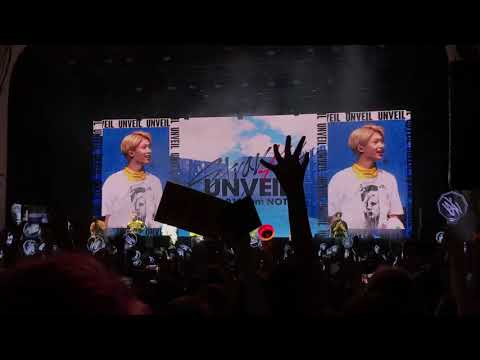 Stray Kids 190728 LONDON fancam