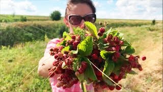 ДОЛЬМЕНЫ - Семилукский район - Воронежская область экскурсии