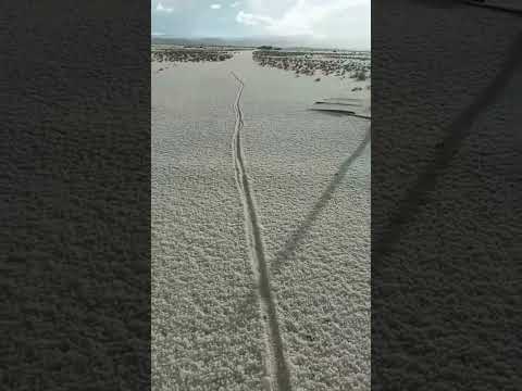 Granizo en Rinconada: "Fue desvastadora"