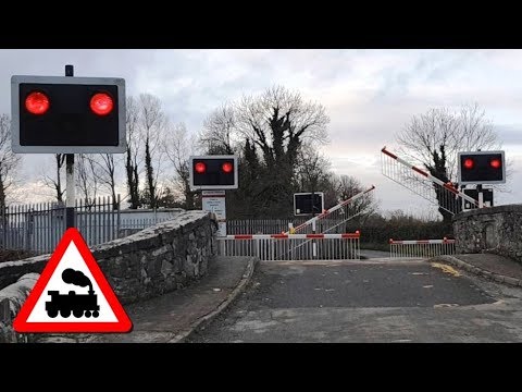 Railway Crossing - Blakestown, County Kildare - IE 29000 Class Commuter Train