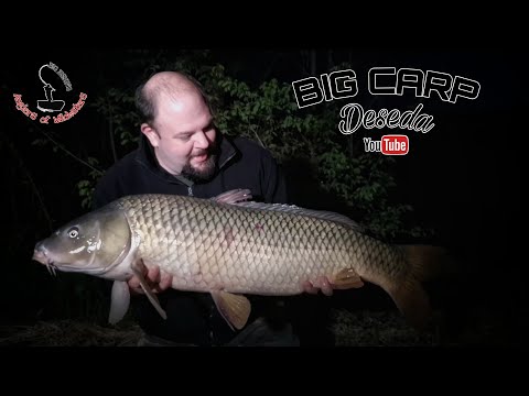 BIG CARP, Kurc Gábor +15-os nyurga ponty fogása a Desedából