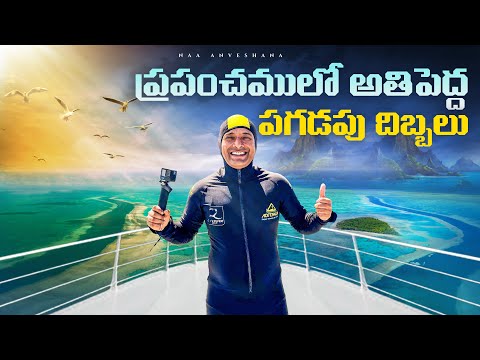 Great Barrier Reef Australia Cairns