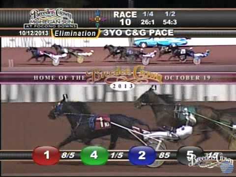 Captaintreacherous - 2013 Breeders Crown Elimination - Three-Year-Old Pacing Colts & Geldings