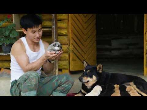 The CEO returned to the farm after his trip and was surprised to receive a special gift from Micky