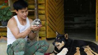 Download lagu The CEO returned to the farm after his trip and was surprised to receive a special gift from Micky mp3