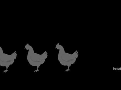 Funky Chicken - Funky Chicken Pumpovat (Lyrics video)