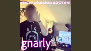 Cover art for gnarly