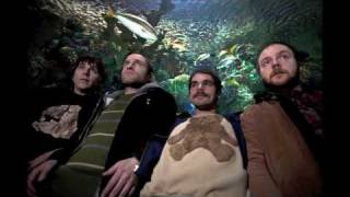 Jaill - Everyone's Hip (not the video)