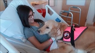 Hospital Day #2 - We Can See the Fireworks! 🎆 (4/7/17)