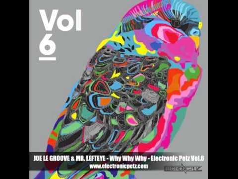 JOE LE GROOVE & MR. LEFTEYE - Why Why Why - Electronic Petz